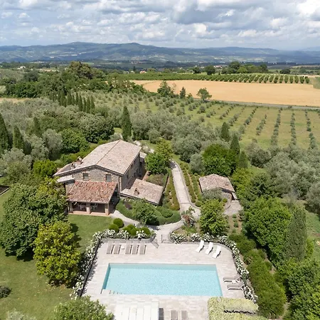 L'uva E Le Stelle