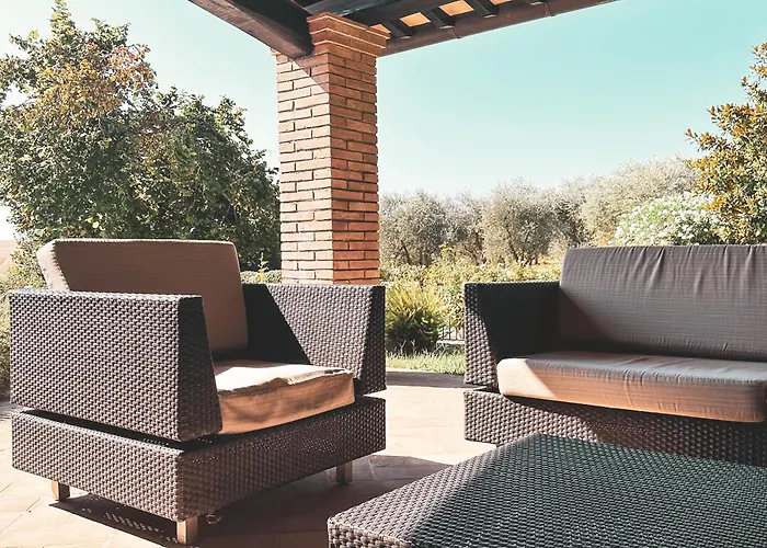 L'uva E Le Stelle * Porano