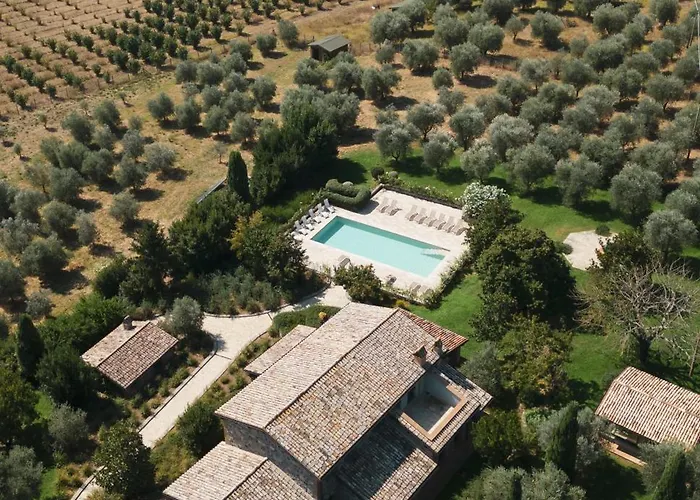 L'uva E Le Stelle * Porano